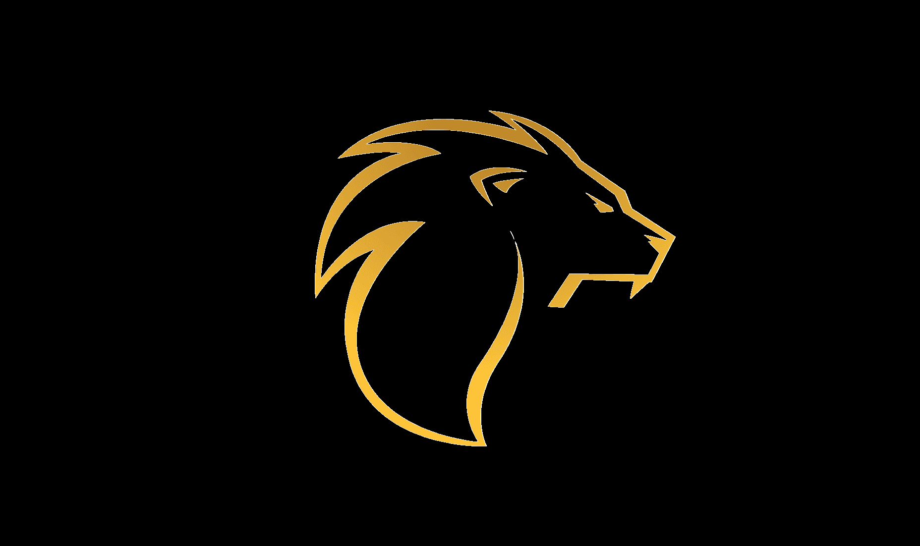 3_lionstone_physique_coaching